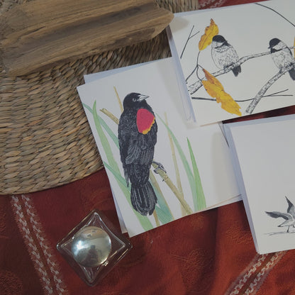 Blackbird Card