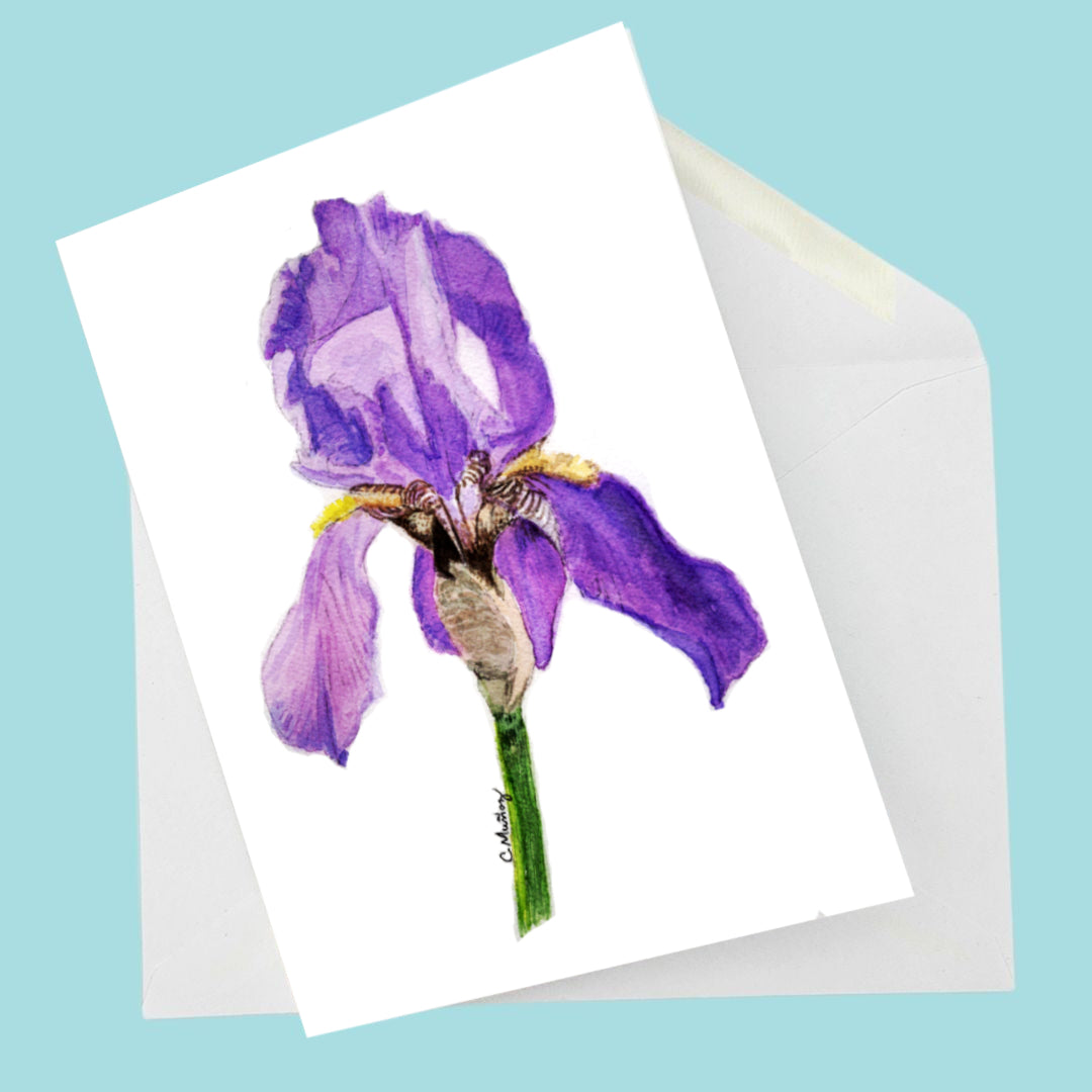 Purple Iris