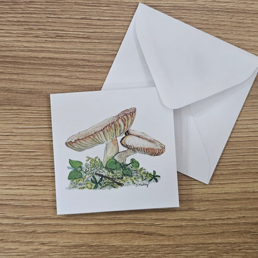 Mushroom Mini Enclosure Card | 3x3 Nature Gift Tag