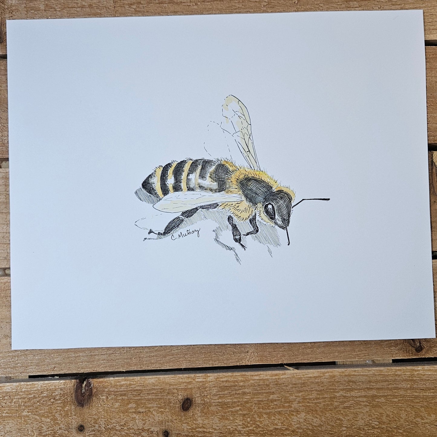 Bees (2 painting set)