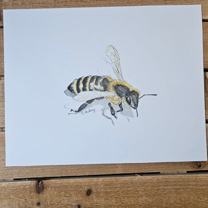 Bees (2 painting set)