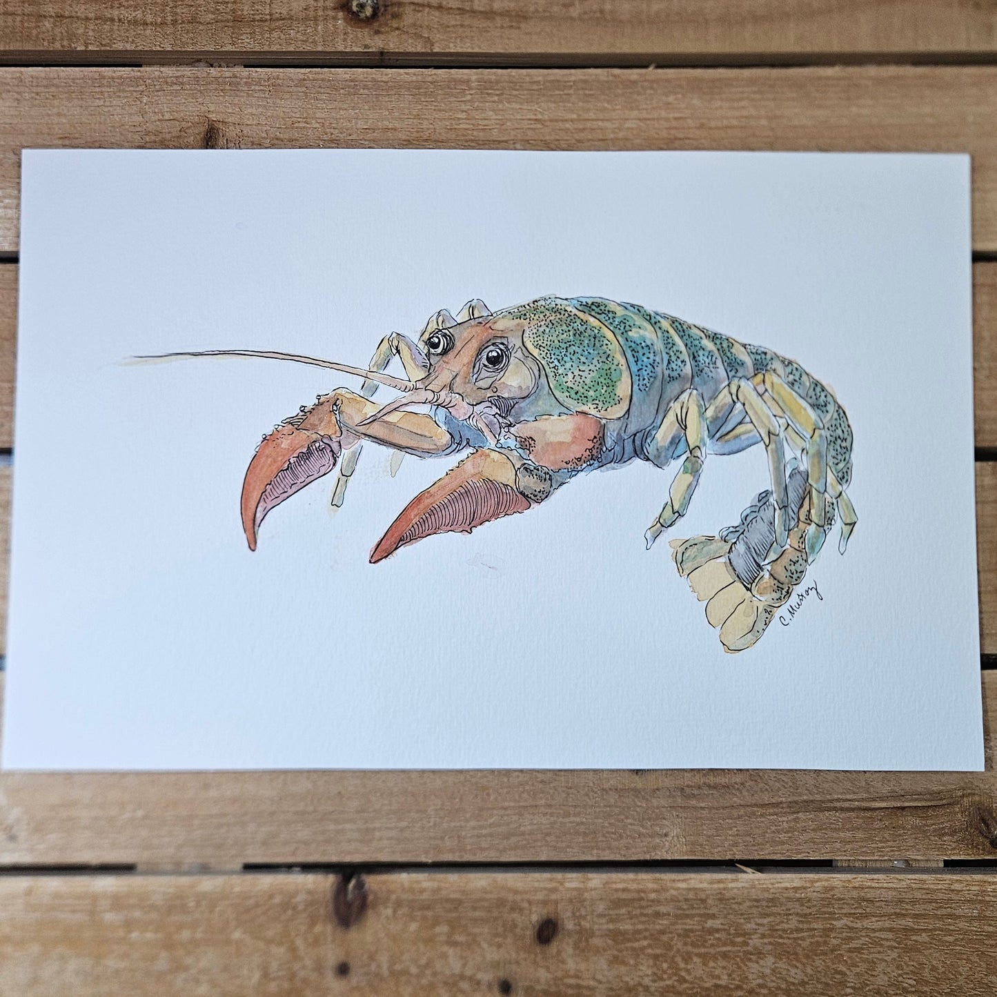 Lobsters (2 painting set)
