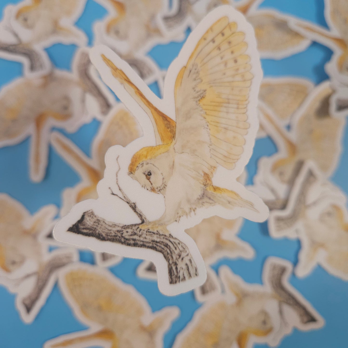 Barn Owl Landing Sticker – 3x3” Waterproof Vinyl Decal