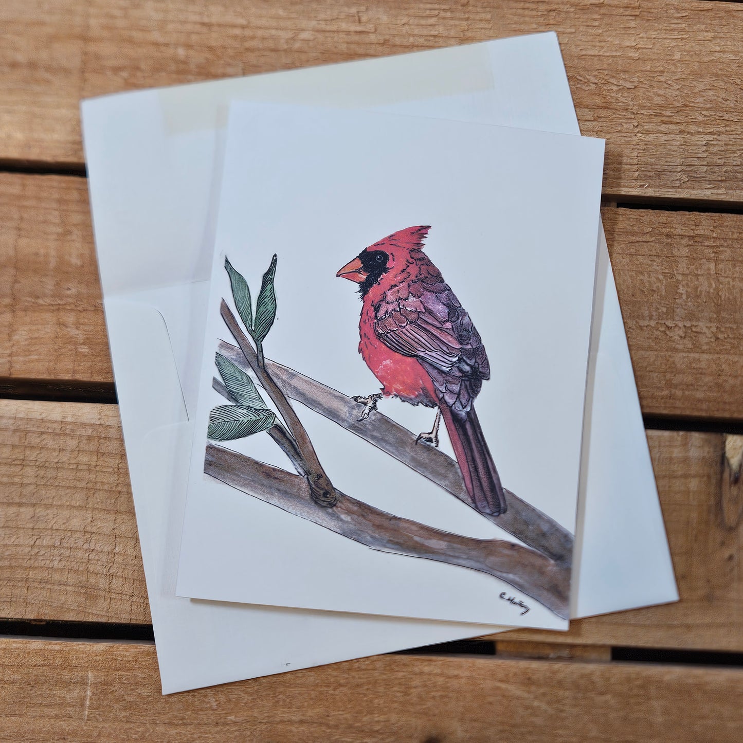 Red Cardinal Greeting Card – Thinking of You Card | Critterwit