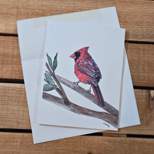 Red Cardinal Greeting Card – Thinking of You Card | Critterwit