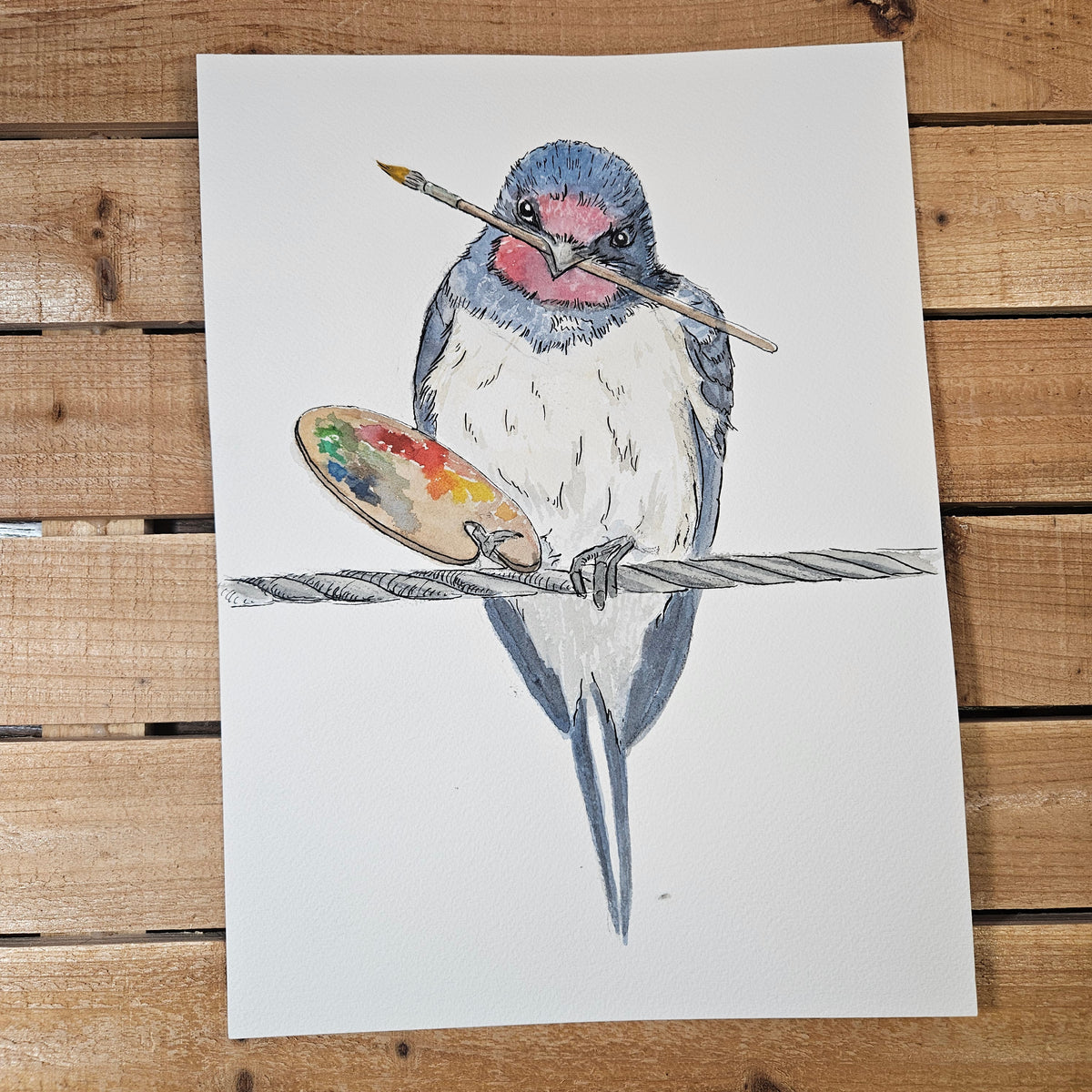 Artistic Swallow