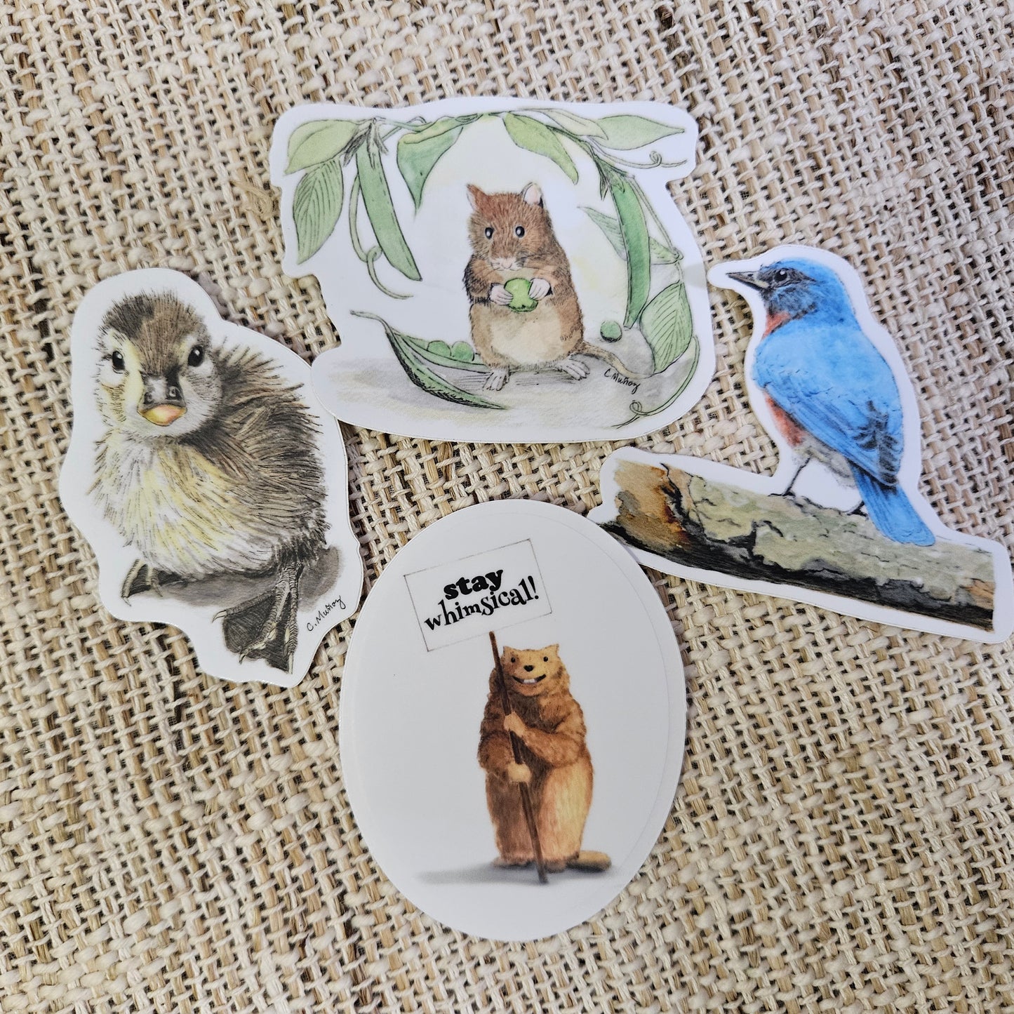 Waiting Duckling Sticker