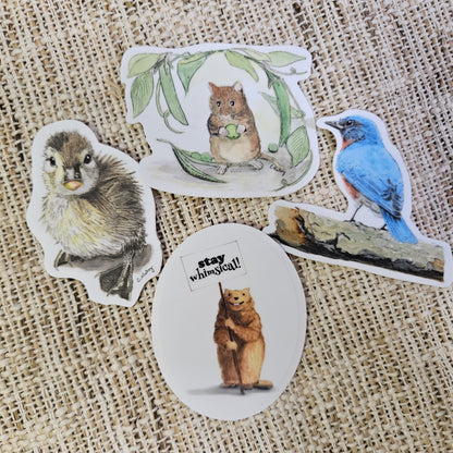 Waiting Duckling Sticker