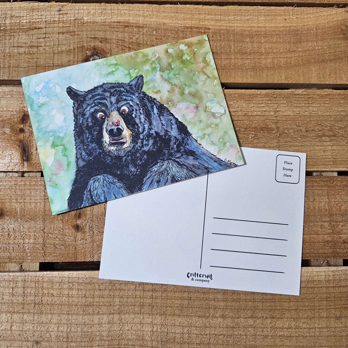 Bugging You Bear Postcard