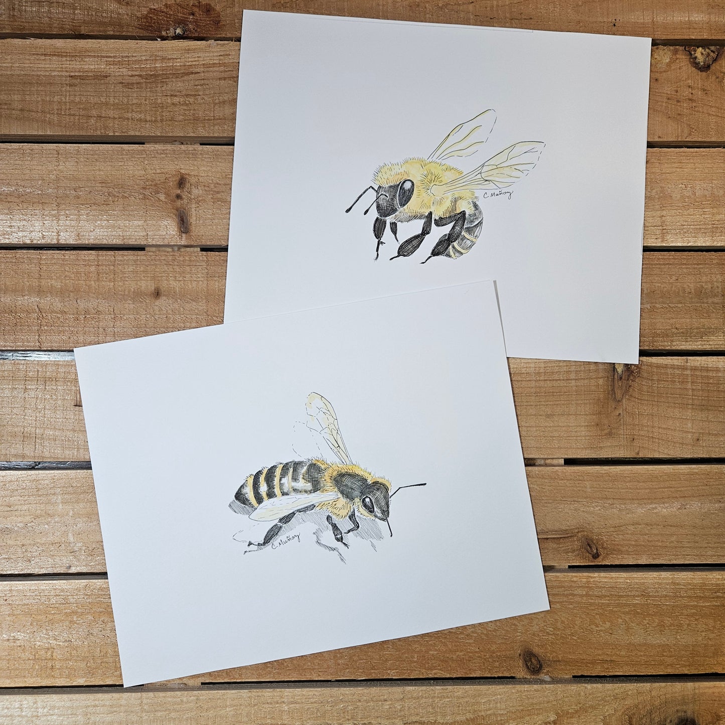 Bees (2 painting set)
