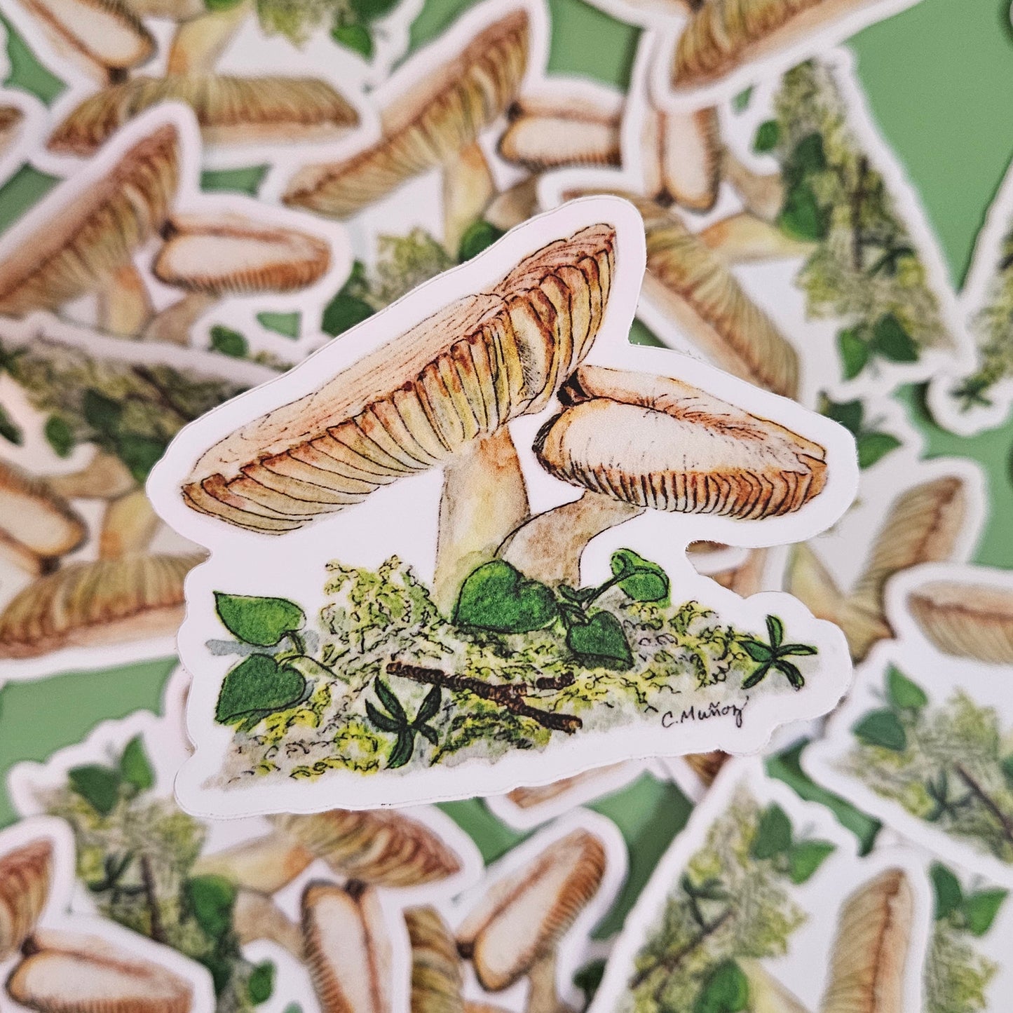 Meadow Mushroom Sticker – 3x3 Inch Waterproof Vinyl Decal