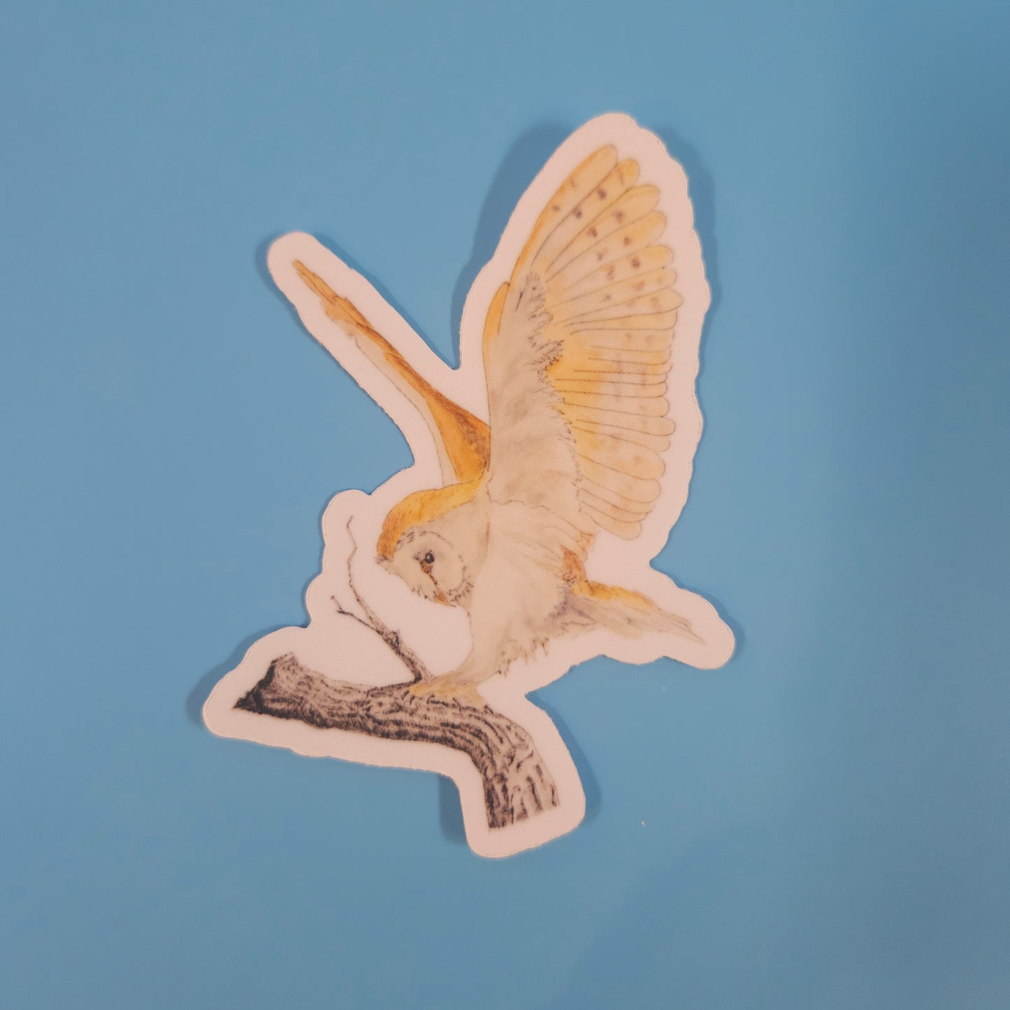 Barn Owl Landing Sticker – 3x3” Waterproof Vinyl Decal