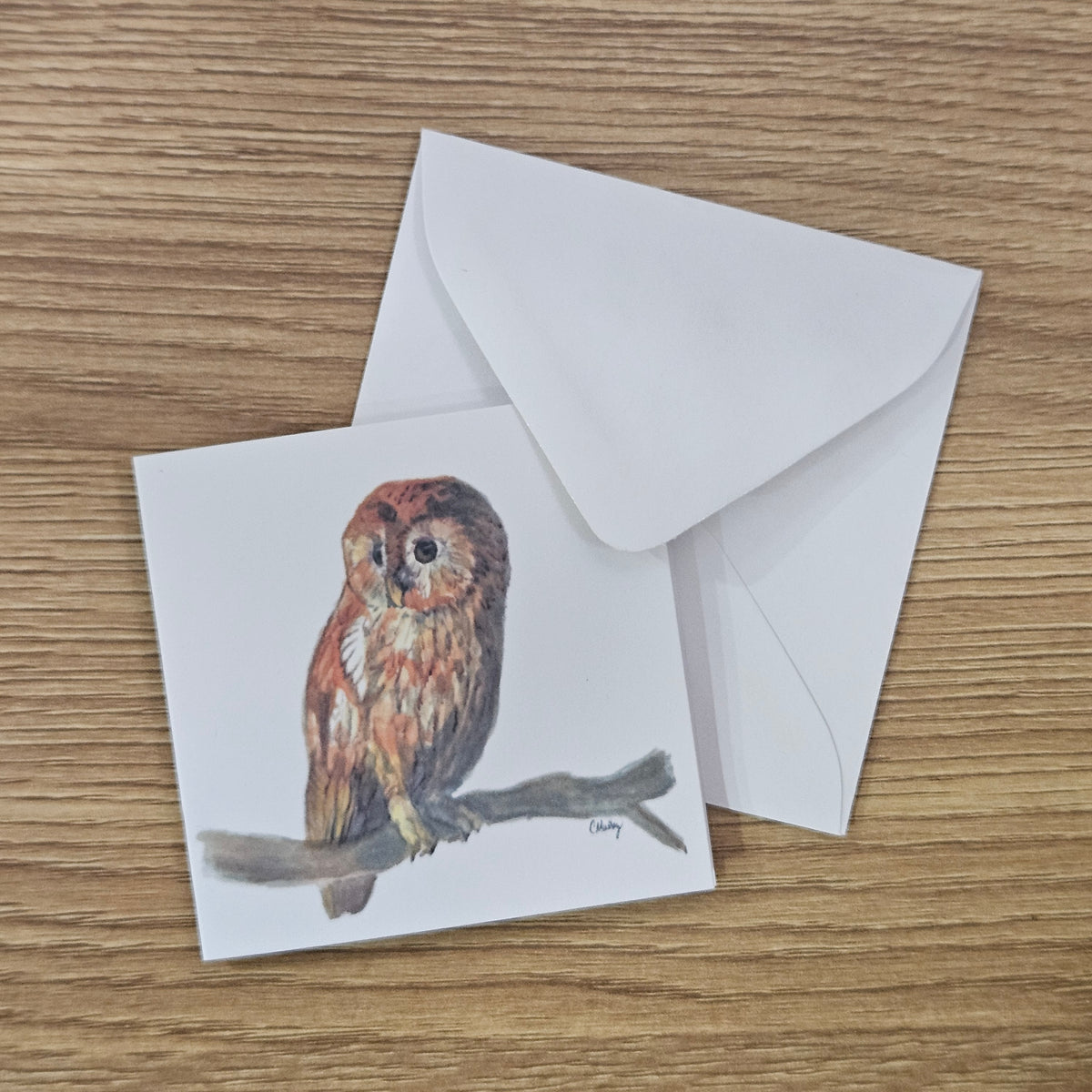Barred Owl Mini Enclosure Card | 3x3 Nature Gift Tag