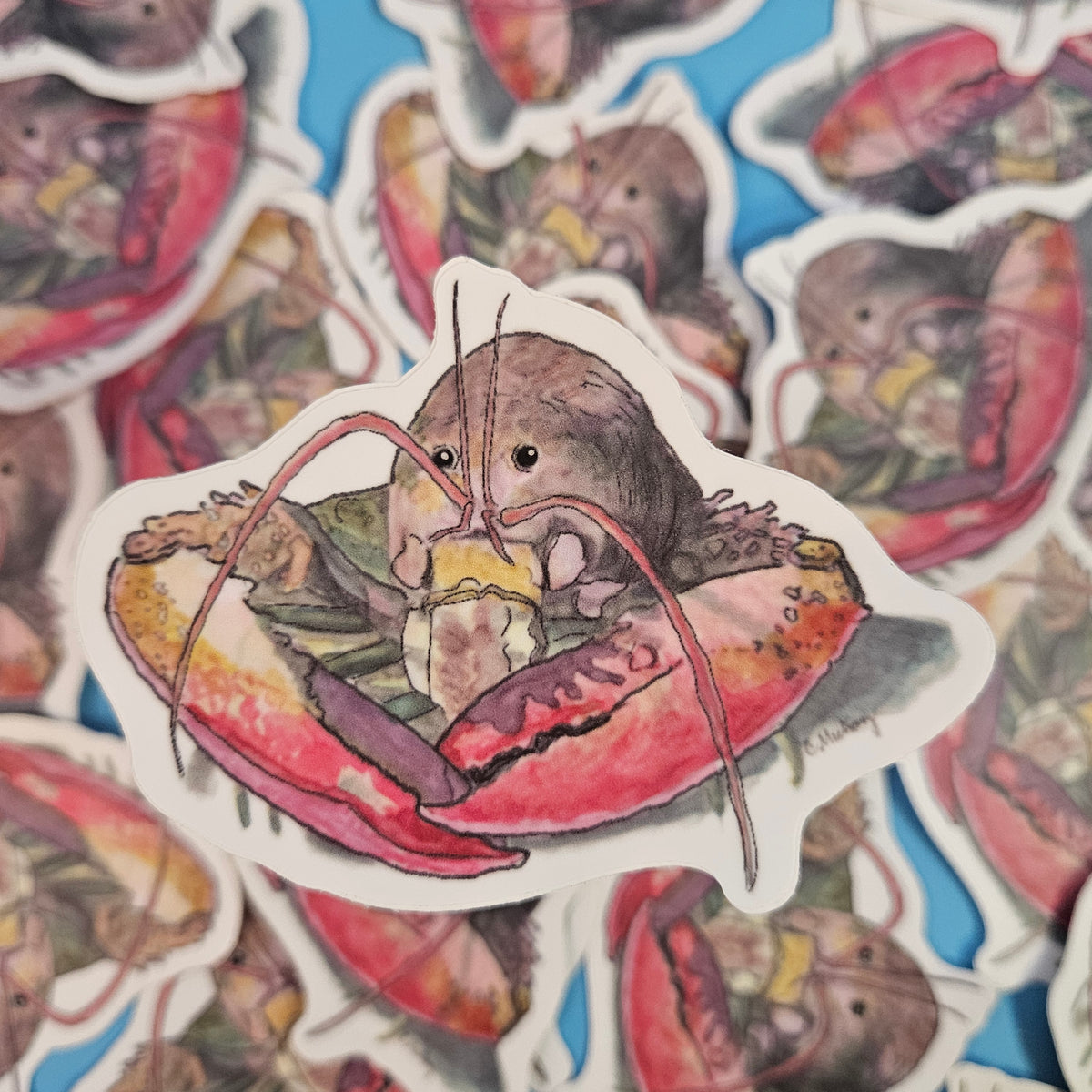 Lobster sticker - 3x3” waterproof vinyl decal