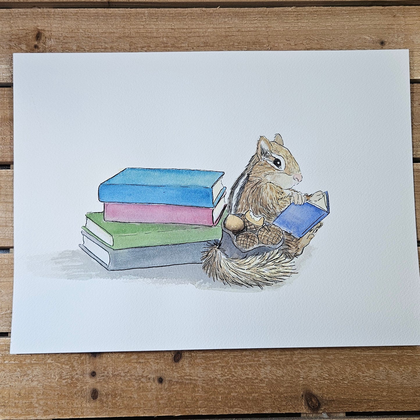 Chipmunk Reading