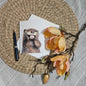 Reason for my Smile Greeting Card – whimsical woodland animal gift, perfect for holidays and everyday use.