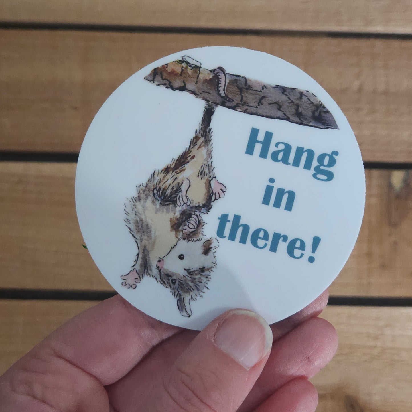 Hang in There Possum Sticker | Waterproof Vinyl 3x3