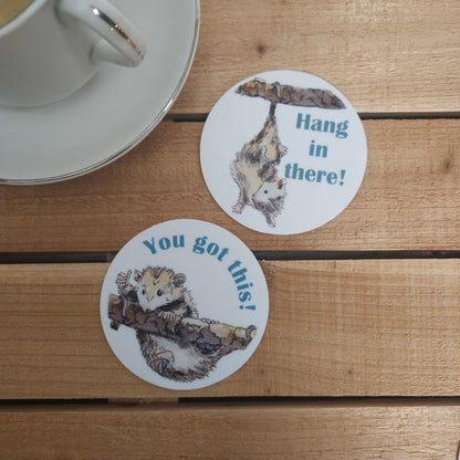 Hang in There Possum Sticker | Waterproof Vinyl 3x3