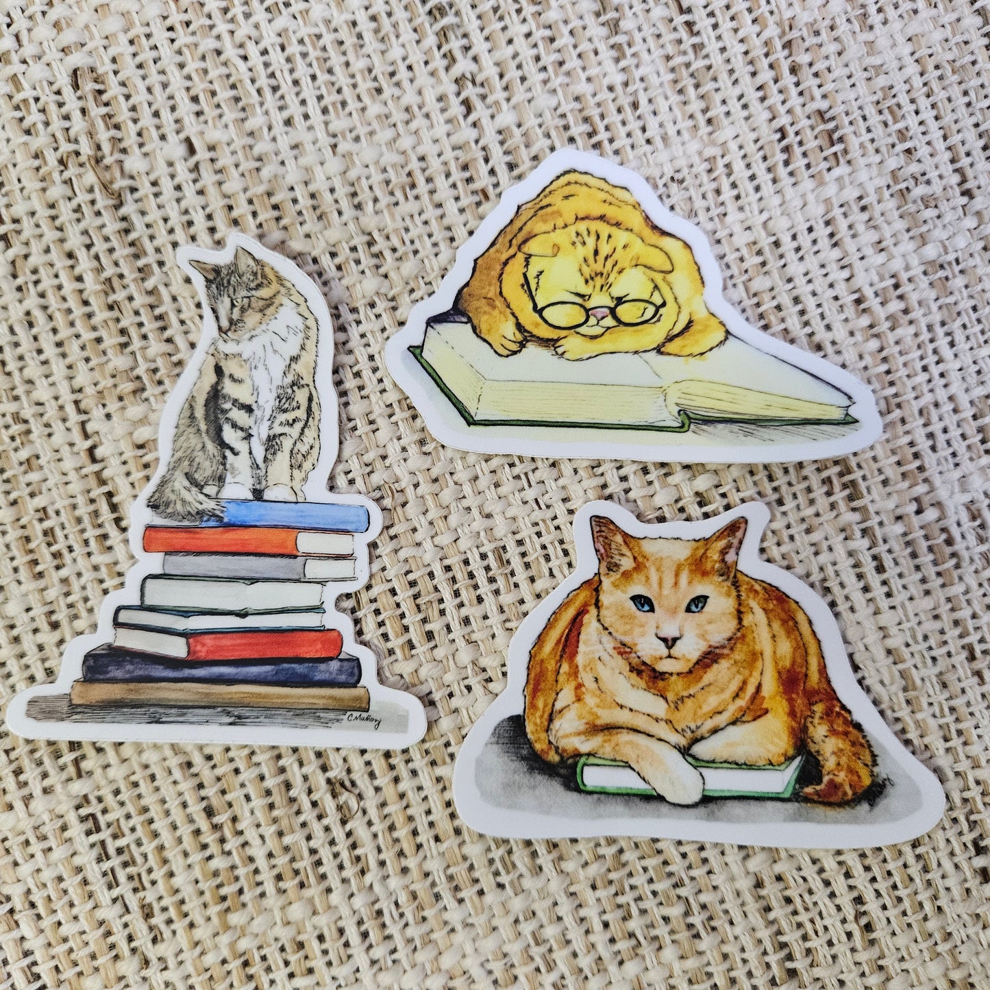 Which book? sticker