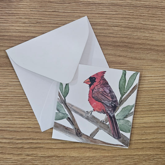Cardinal Mini Enclosure Card | 3x3 Nature Gift Tag