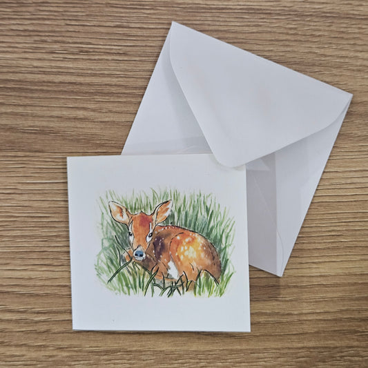 Fawn Mini Enclosure Card | 3x3 Nature Gift Tag