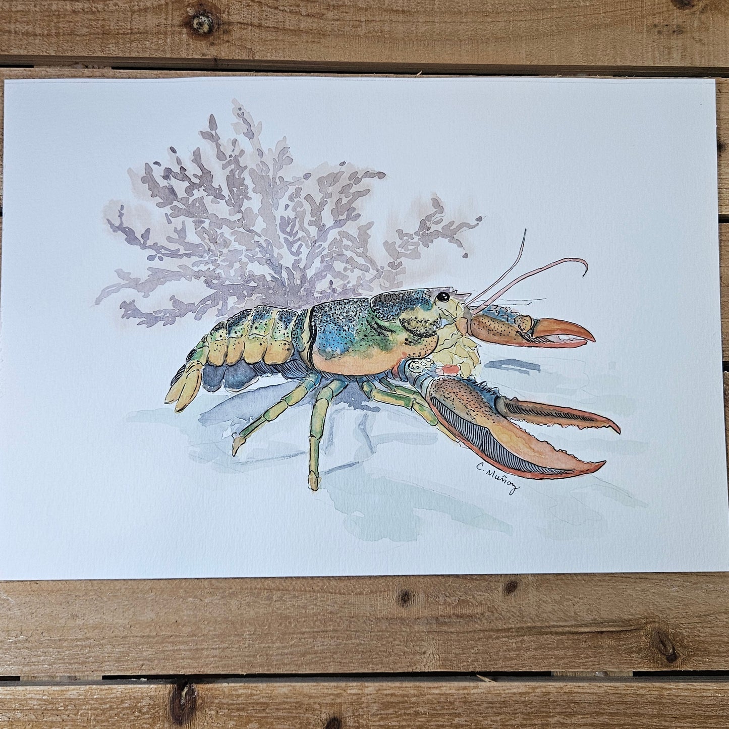 Lobsters (2 painting set)