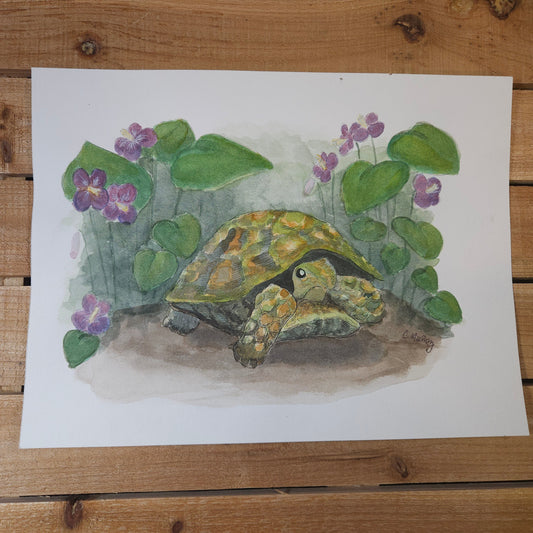 Spring Turtle