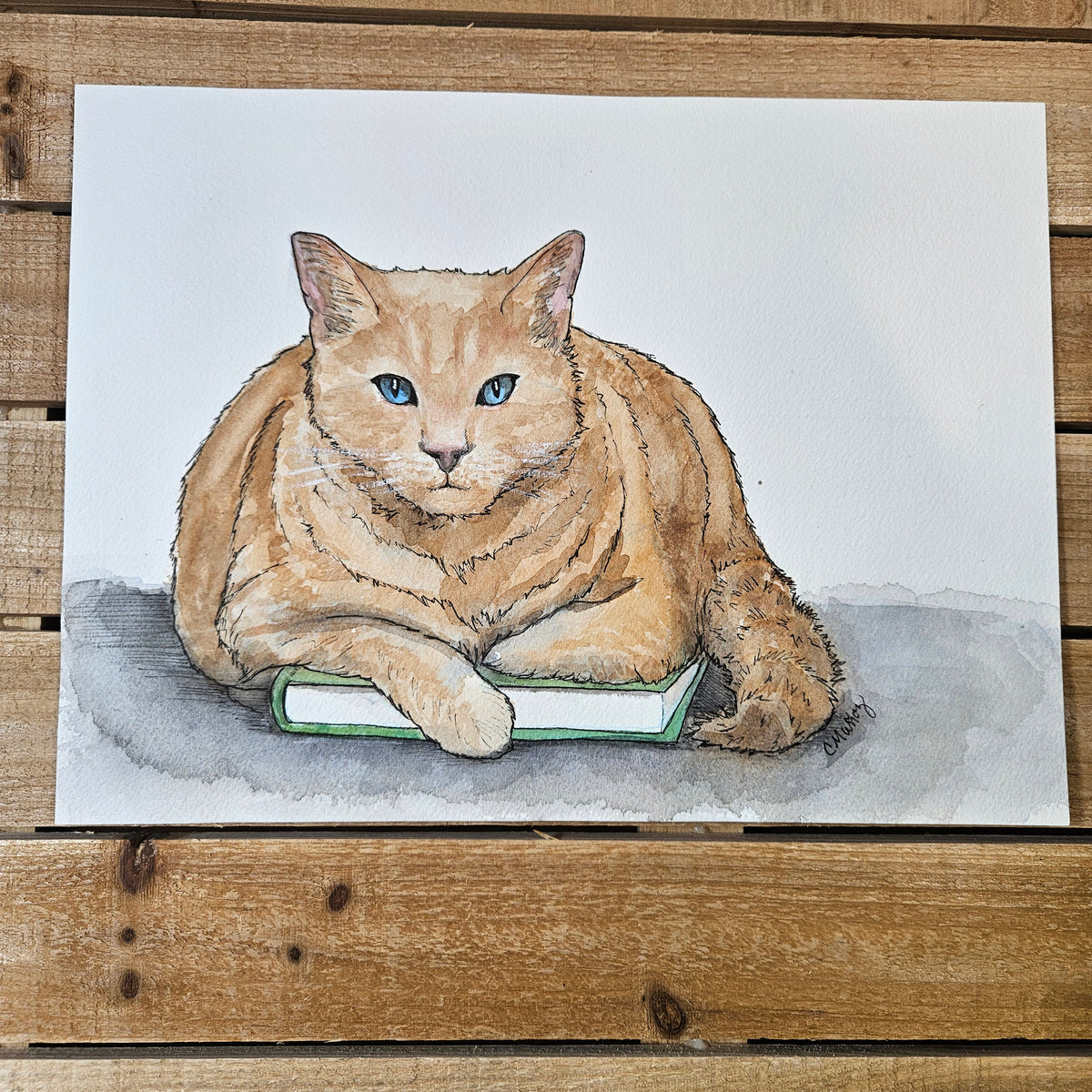 My Book Cat