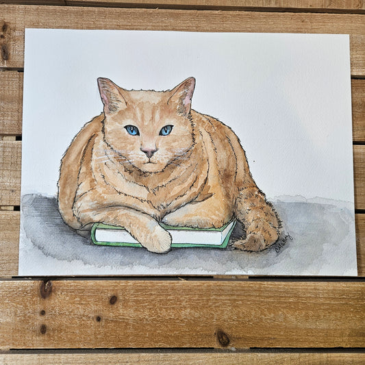 My Book Cat