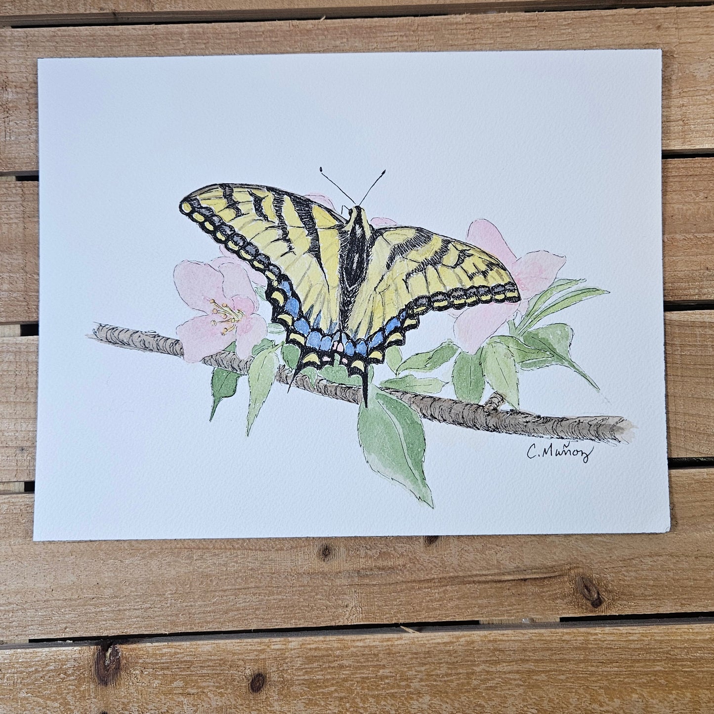 Tiger Swallowtail Butterfly with Blossoms