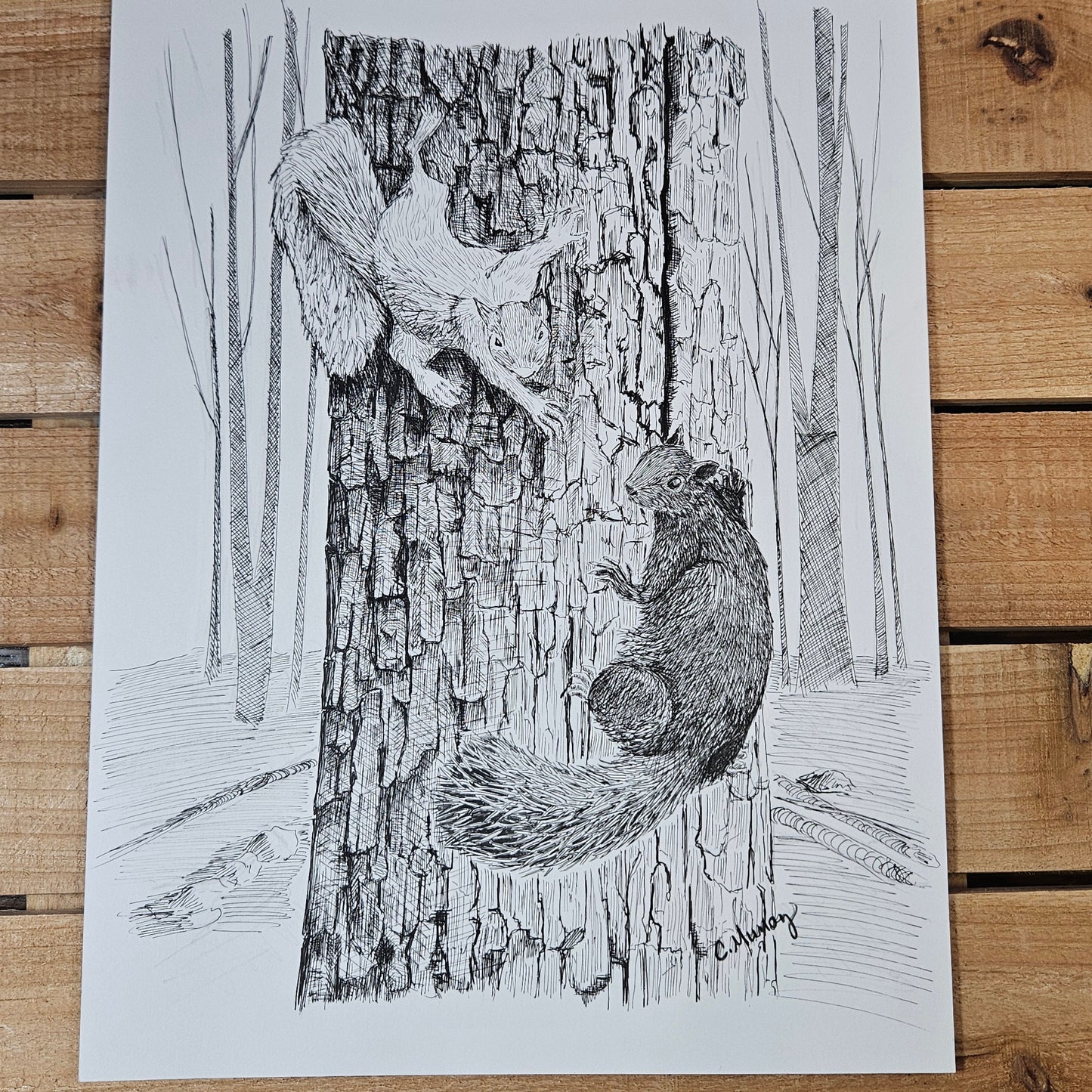 Meeting Halfway Squirrels