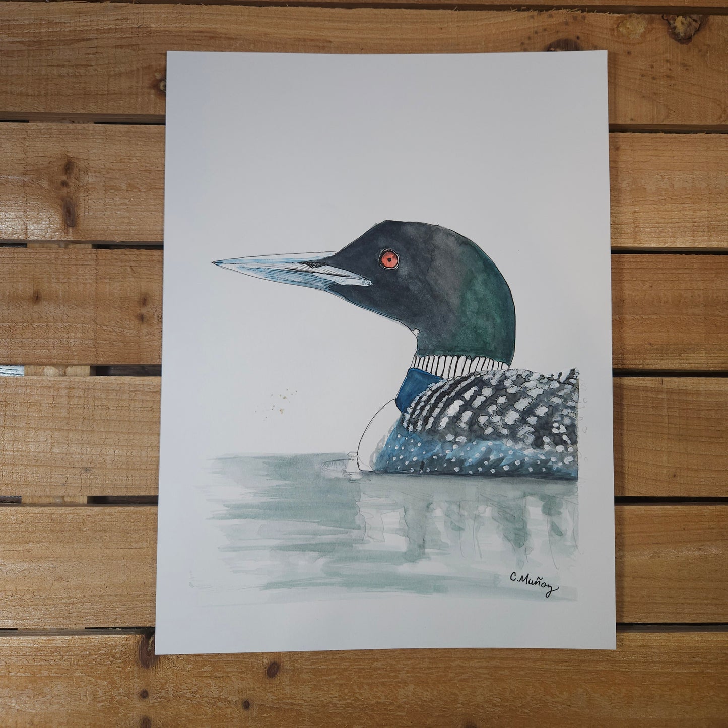 Portrait of a Loon