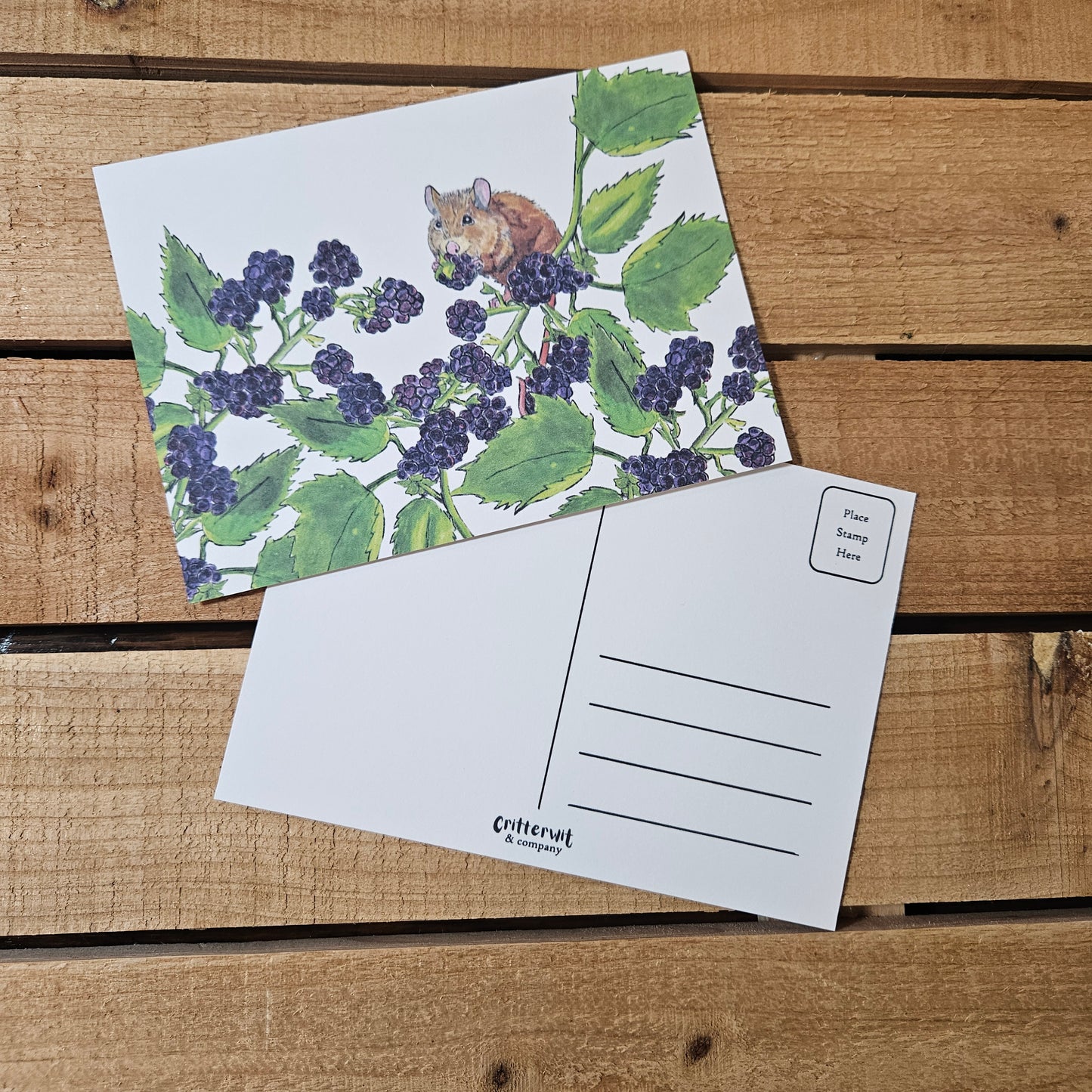 Blackberry Mouse Postcard