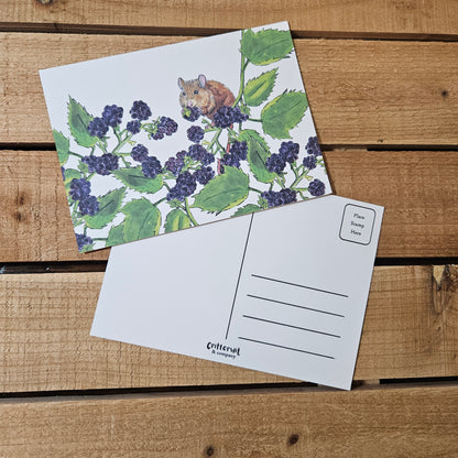 Blackberry Mouse Postcard