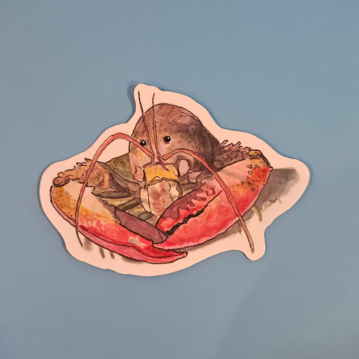 Lobster sticker - 3x3” waterproof vinyl decal
