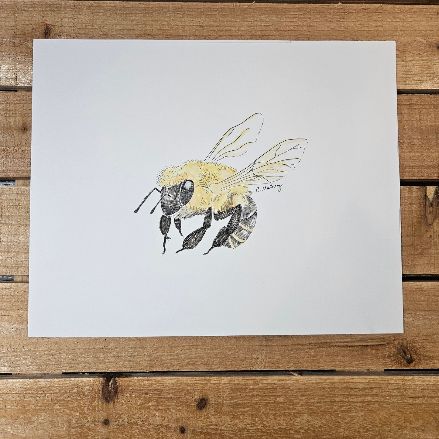Bees (2 painting set)
