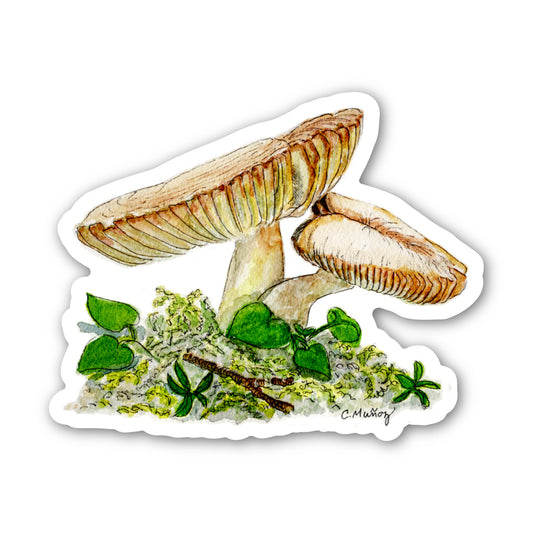 Mushroom sticker