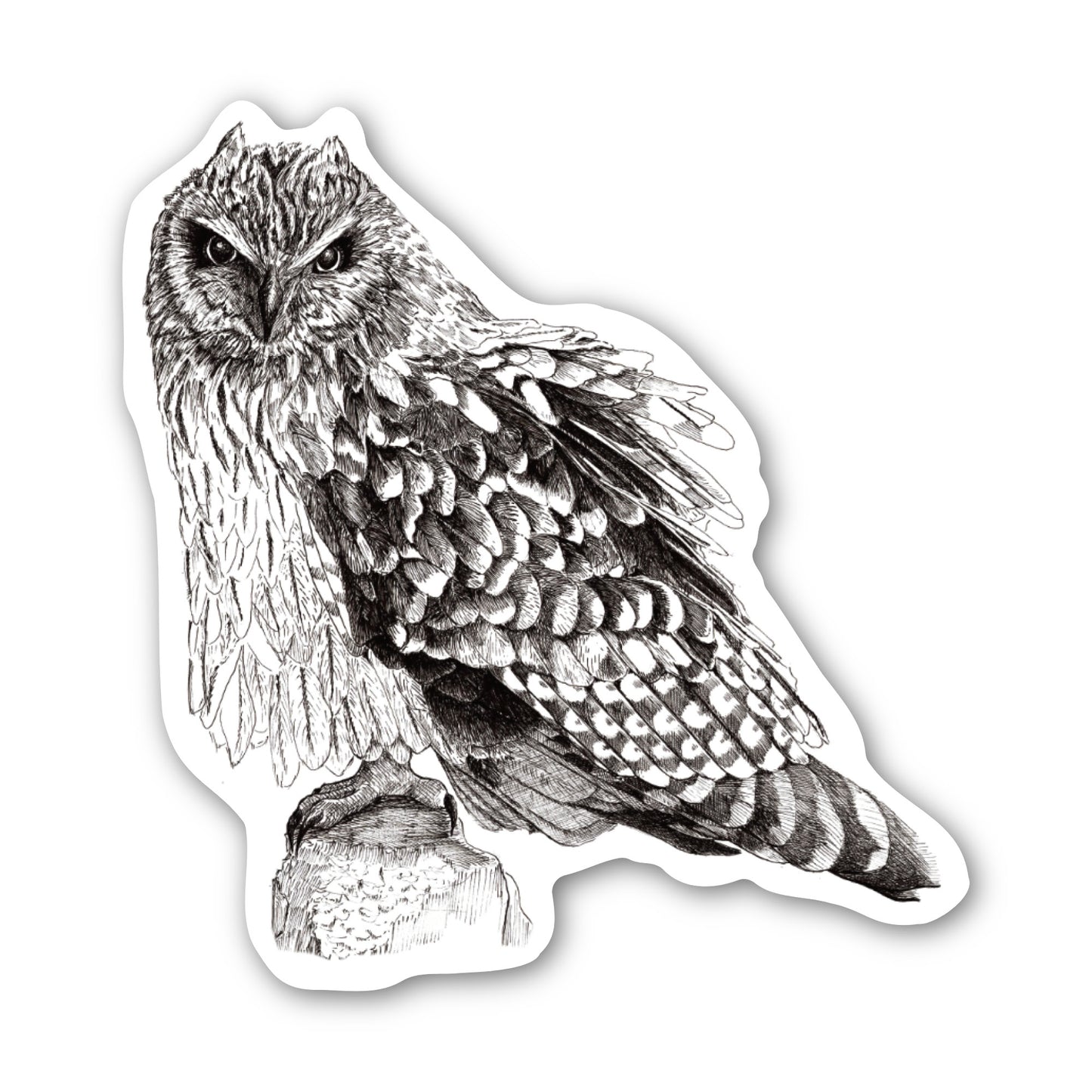 Ruffled Feathers Owl Sticker - 3x3” waterproof vinyl decal