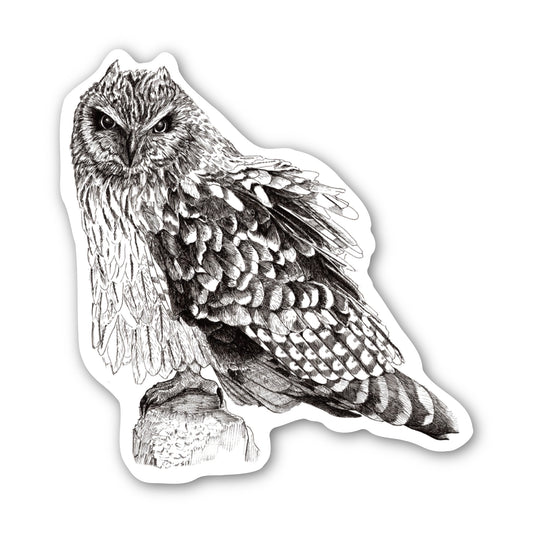 Ruffled Feathers Owl Sticker - 3x3” waterproof vinyl decal